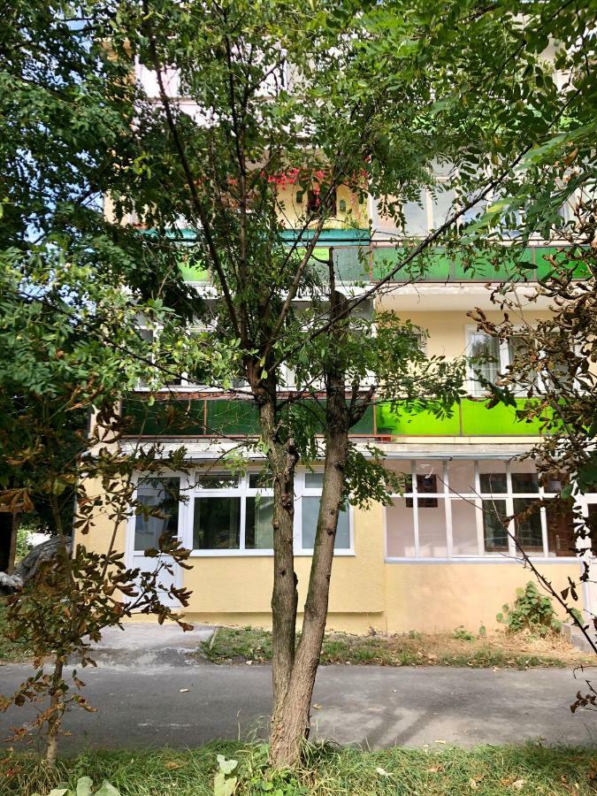 Apartament Toplita Exterior foto